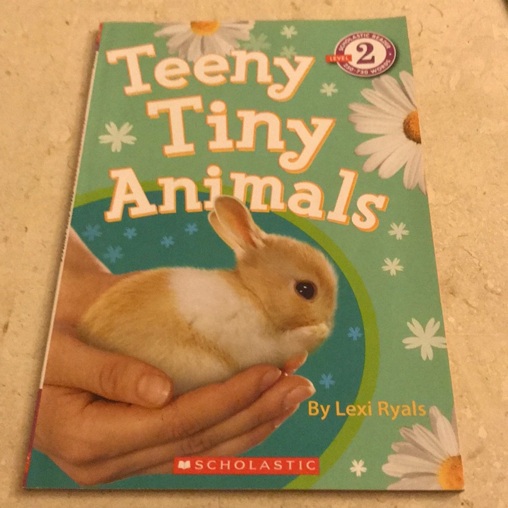 Teeny Tiny Animals book